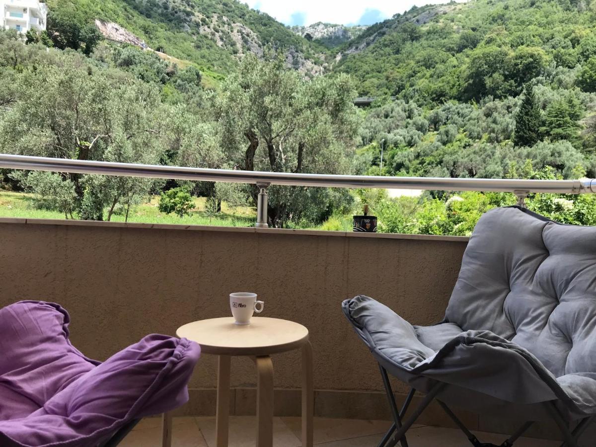 Vila V Lux Apartments Petrovac Eksteriør billede